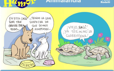 Animalandia