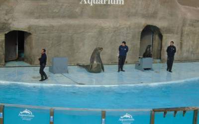 Visita al Aquarium de Mar del Plata